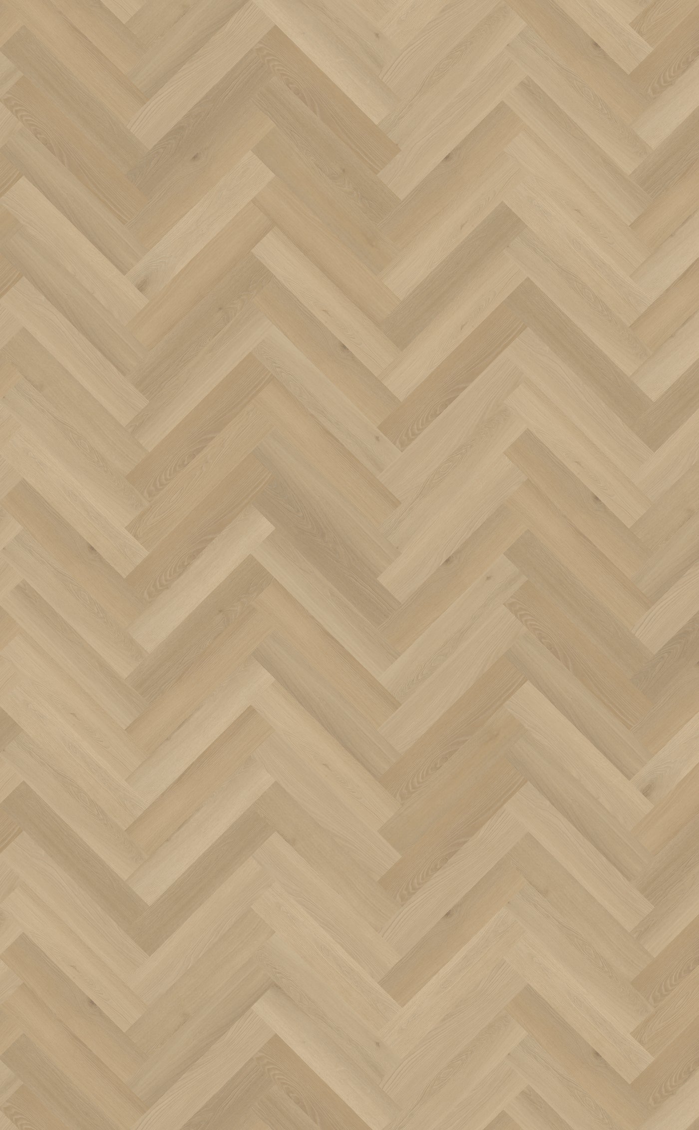 Belakos Borgo Visgraat XL 31 | Dryback Plak PVC