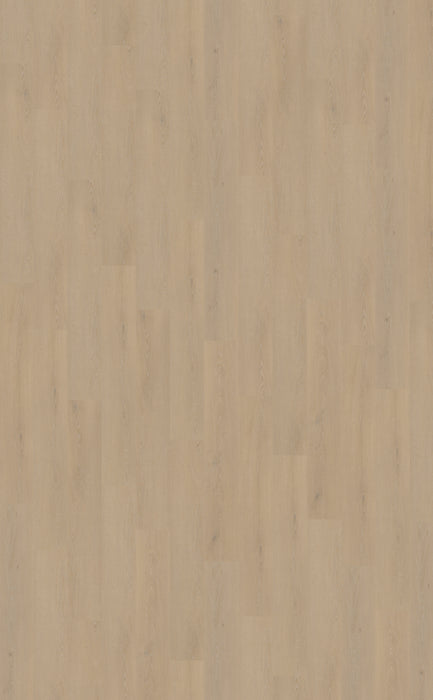 Belakos Cervo Plank 200 | Rigid Click PVC