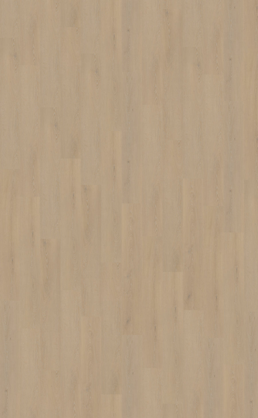 Belakos Cervo Plank 200 | Dryback Lijm PVC