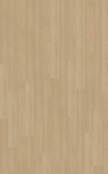 Belakos Futuro Plank 510 | Dryback Lijm PVC