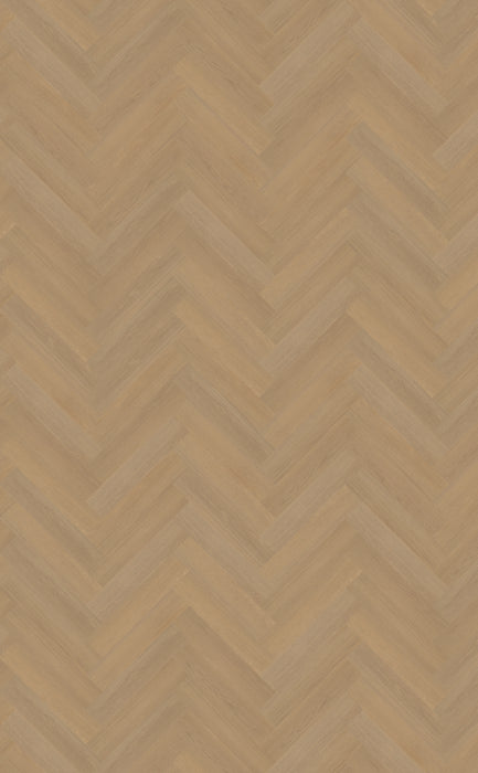 Belakos Futuro Visgraat XL 50 | Dryback Plak PVC