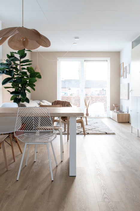 Belakos Palazzo 720 | Dryback Lijm PVC