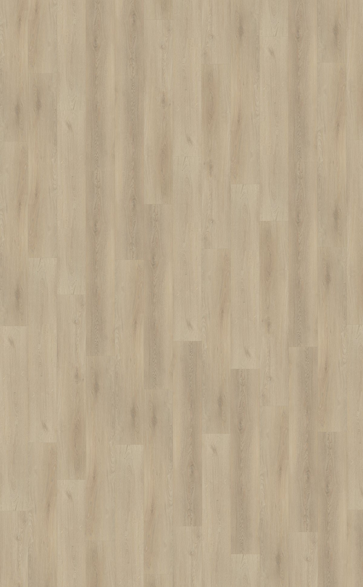 Belakos Palazzo 730 | Dryback Lijm PVC | sfeerbeeld 2