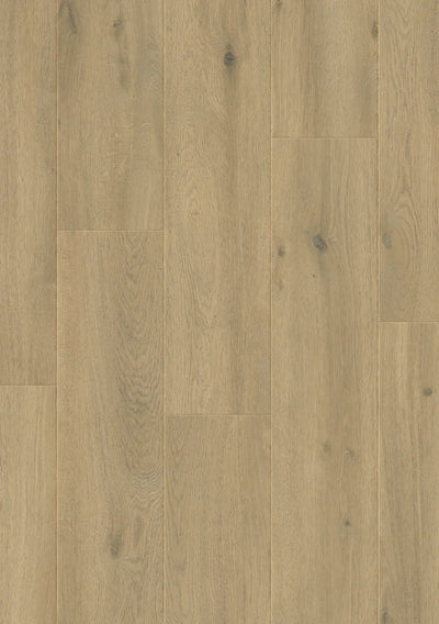 Hoomline Laminaat | Elite XL V4 | Geul 6082 | 4V-Groef