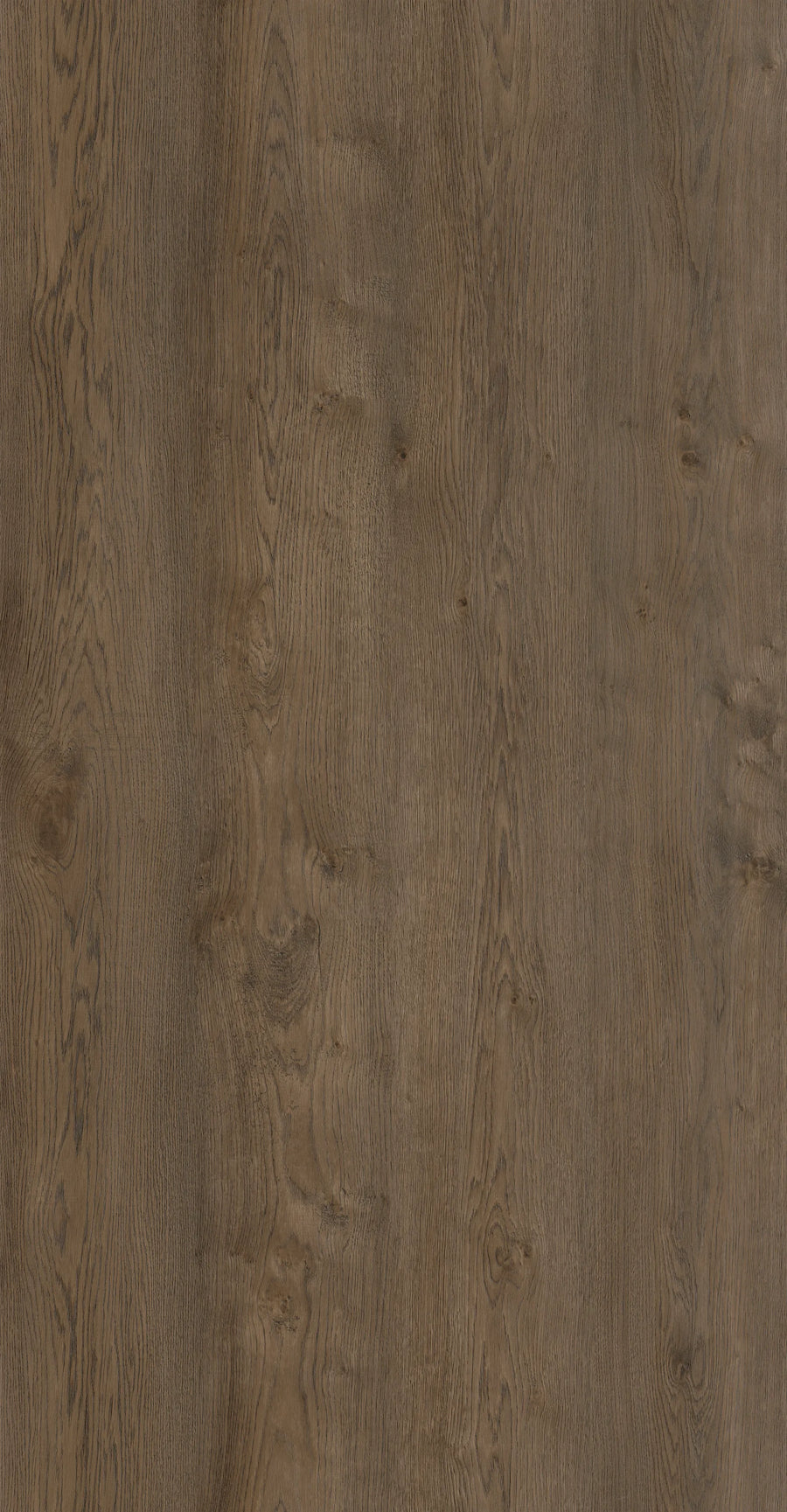 COREtec Naturals 1800+++ Serie 2887 Elon | Click PVC