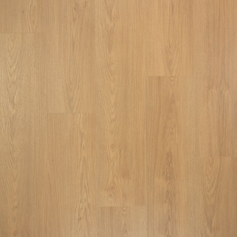 Douwes Dekker Kaviaar | Extra lange plank | 4V-Groef Laminaat