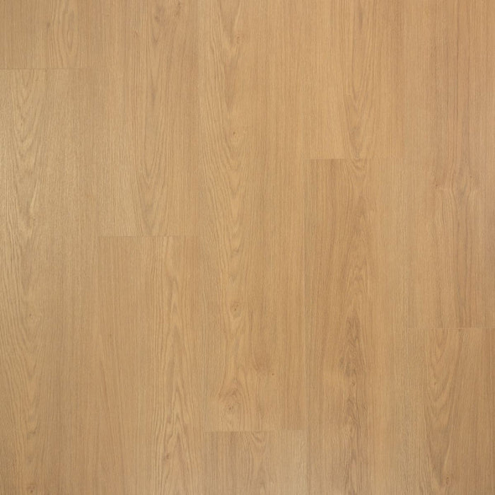 Douwes Dekker Kaviaar | Extra lange plank | 4V-Groef Laminaat