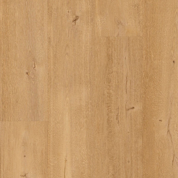 Floorify XL Planken Frangipane F095 | Click PVC Rigid