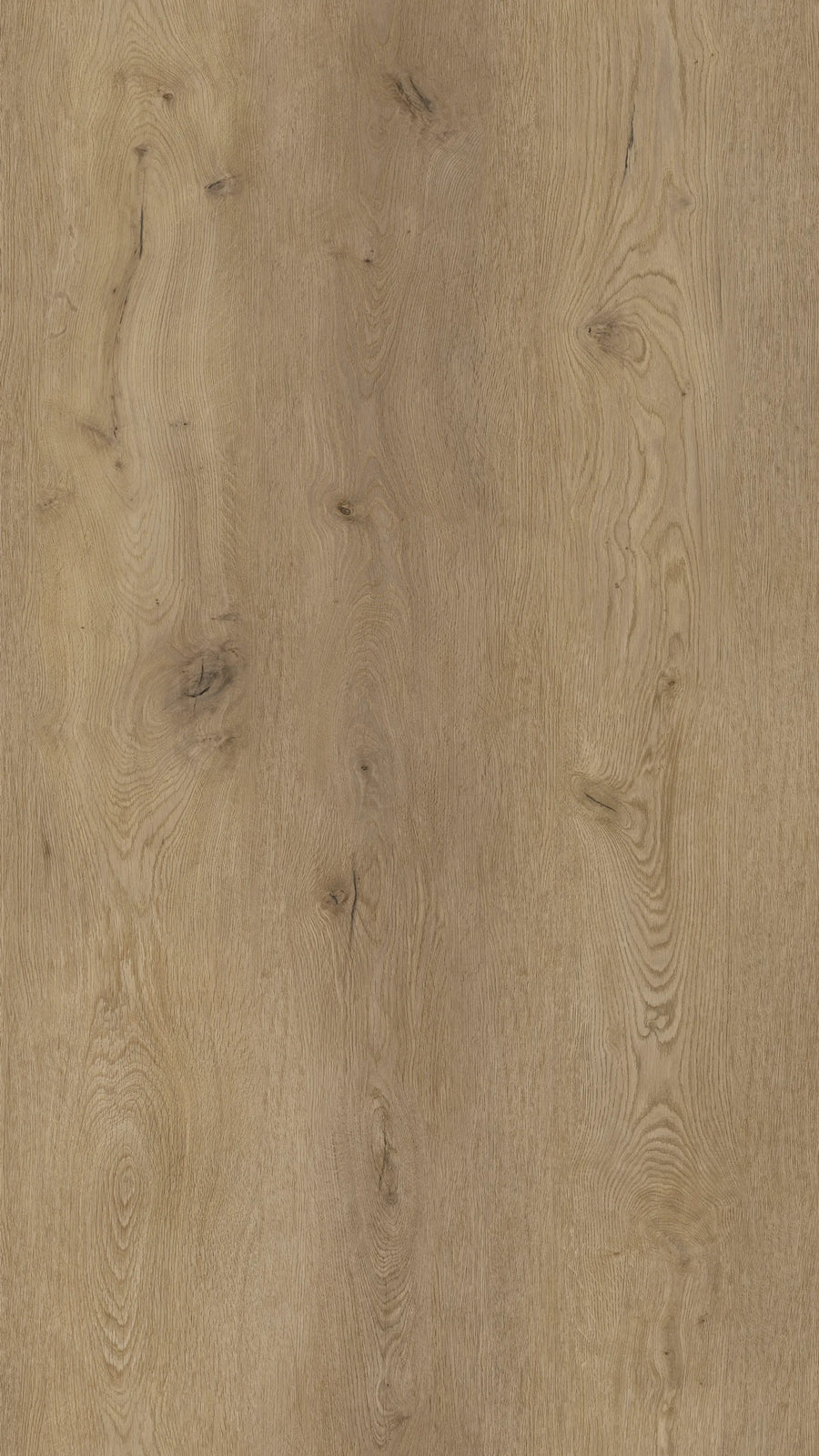 COREtec XL-End 2557 Montclair | Click PVC