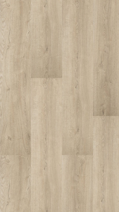 Hebeta Largo XXL Plank 501323 | Dryback Lijm PVC