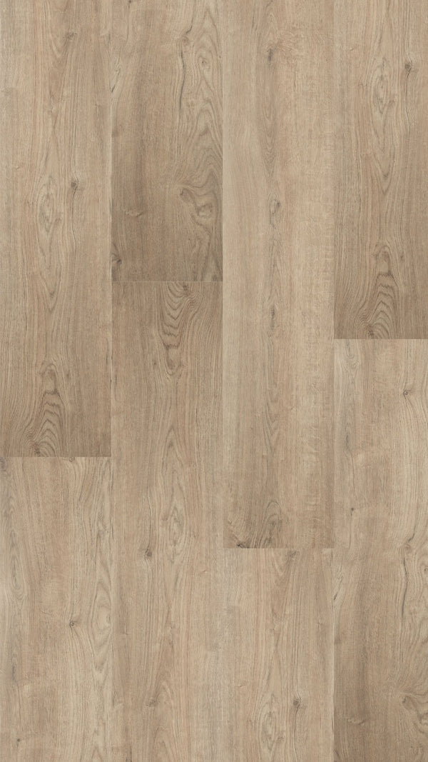 Hebeta Largo XXL Plank 501326 - Dryback Lijm PVC