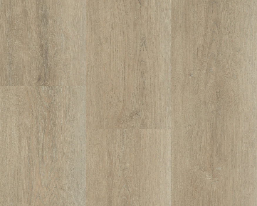 Montinique Charente XL Plank 5447 - Dryback Plak PVC - afbeelding 2