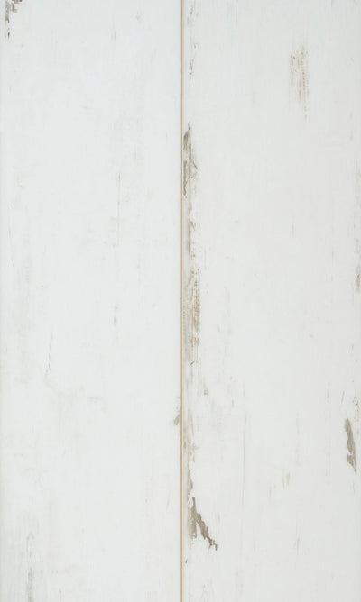 COREtec Essentials 1200+ Series Painted Oak 02 | Click PVC