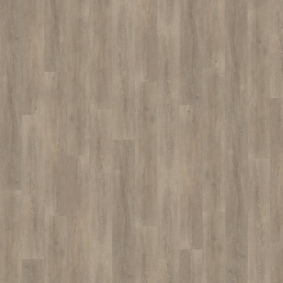Belakos Palazzo 700 | Dryback Lijm PVC