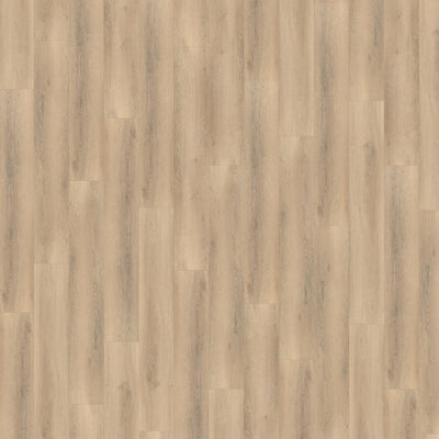 Belakos Palazzo 750 | Dryback Lijm PVC