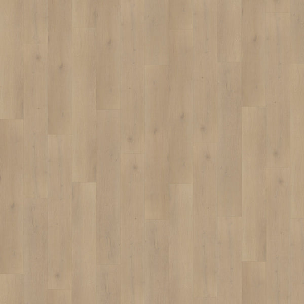 Belakos Palazzo 770 | Dryback Lijm PVC