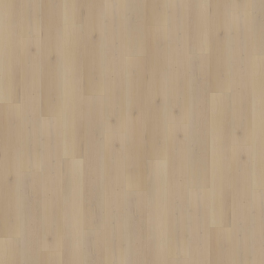Belakos Palazzo 770 | Rigid Click PVC