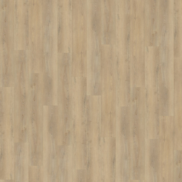 Belakos Palazzo 720 | Dryback Lijm PVC