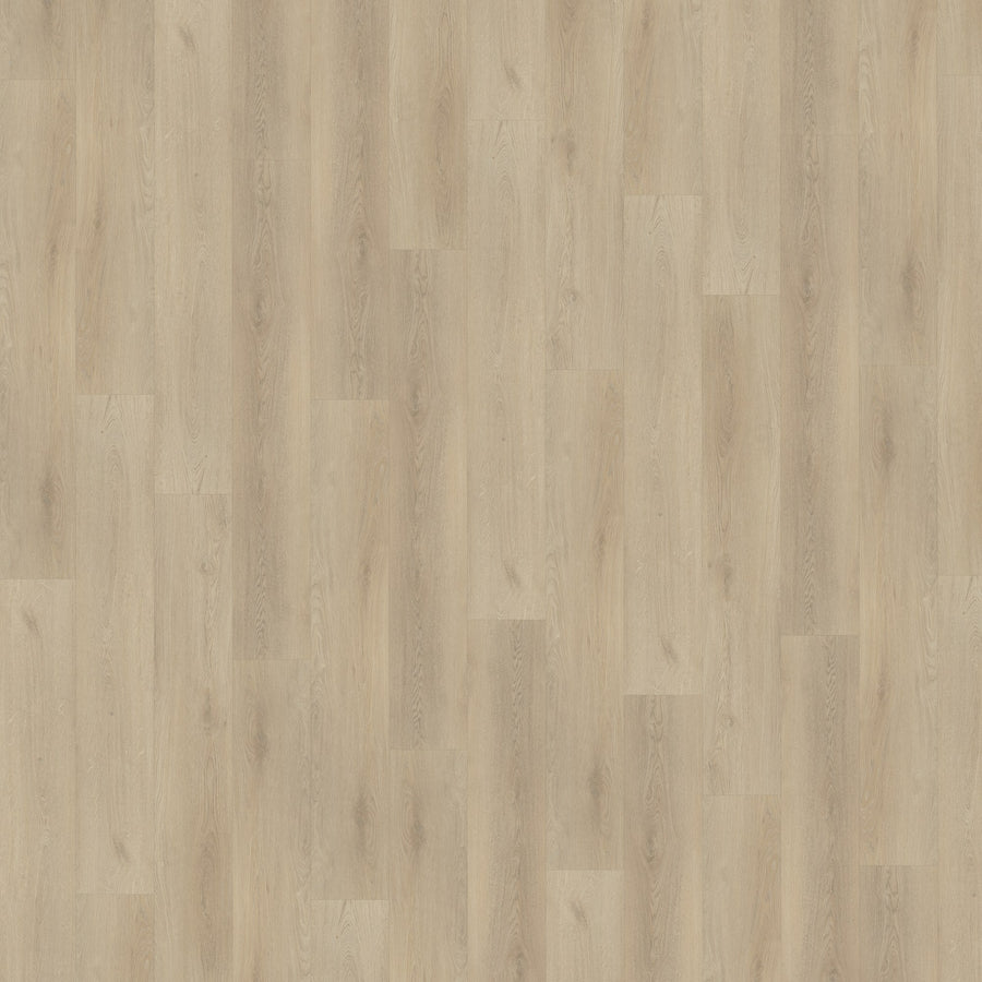 Belakos Palazzo 730 | Dryback Lijm PVC
