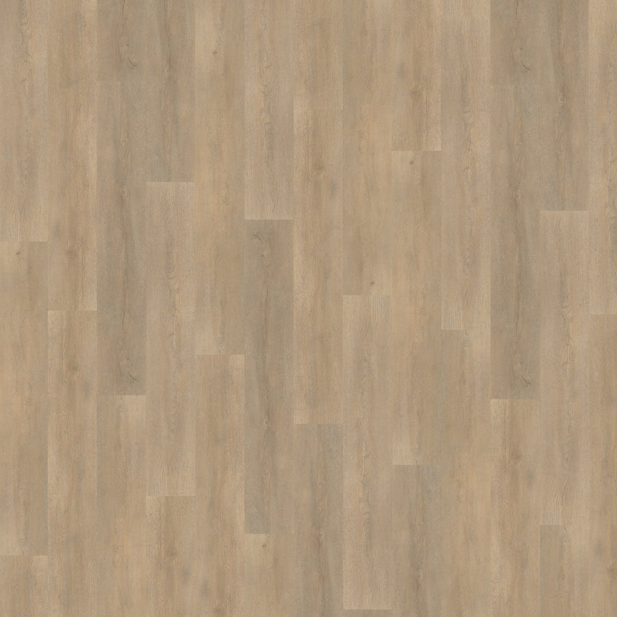 Belakos Palazzo 710 | Dryback Lijm PVC