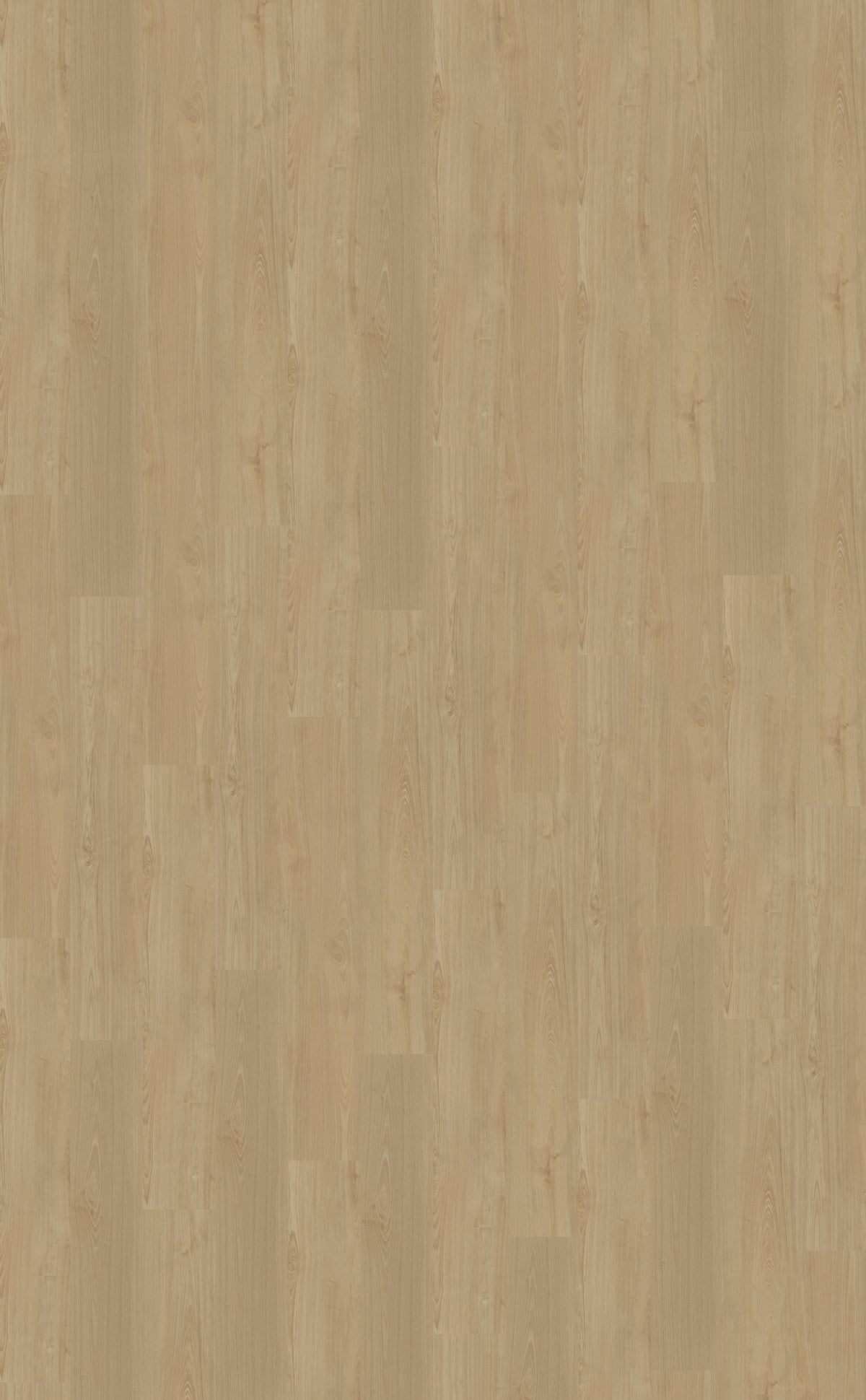 Belakos Portico Plank 560 | Rigid Klik PVC