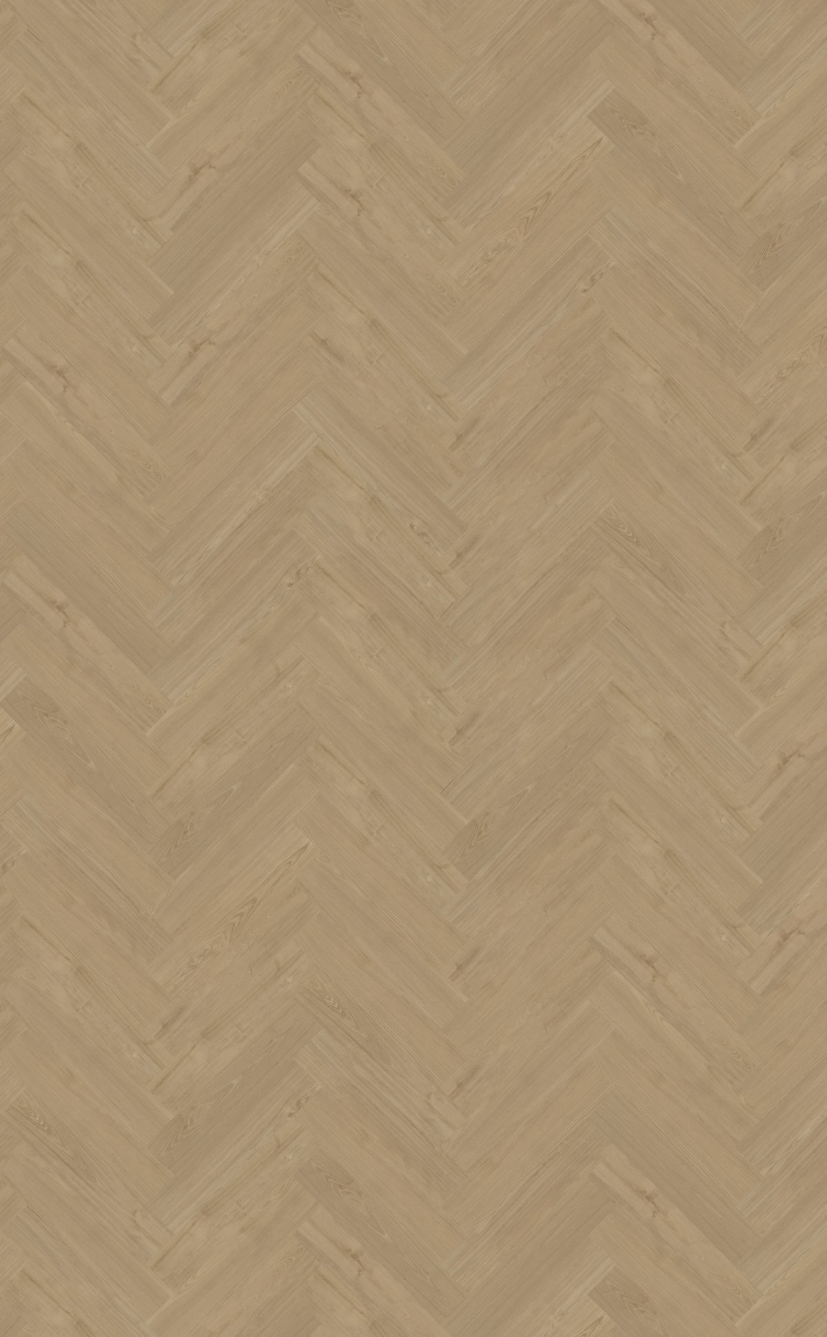 Belakos Portico Visgraat XL 54 | Dryback Plak PVC