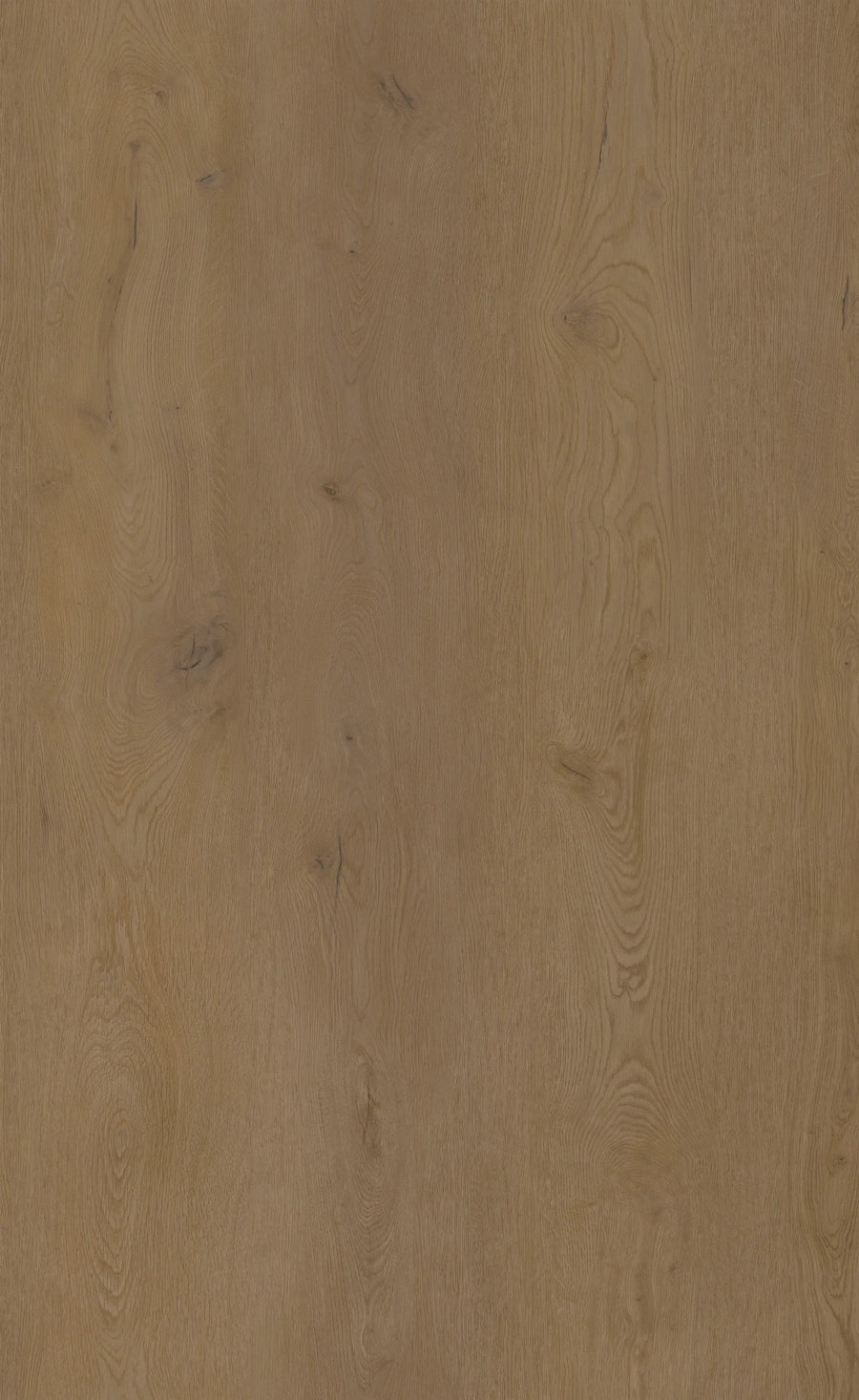 COREtec Naturals 1500+++ Serie 2556 Sorrel | Click PVC