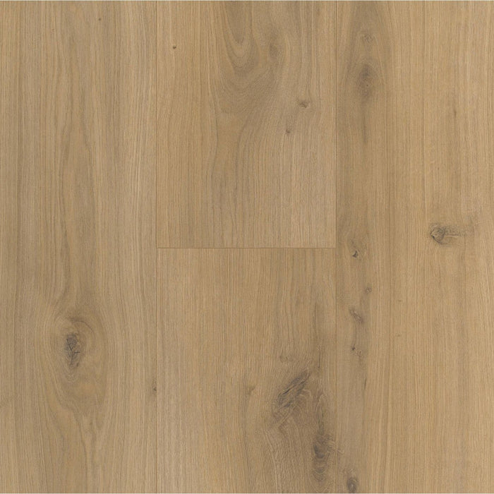 PARADOR Basic 400 4V Eiken Horizont Natuur - Laminaat