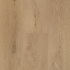 Hebeta Clermont XL Plank 54821 | Dryback Lijm PVC