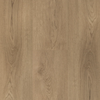 Hebeta Clermont XL Plank 54822 | Dryback Lijm PVC