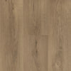 Hebeta Clermont XL Plank 54825 | Dryback Lijm PVC