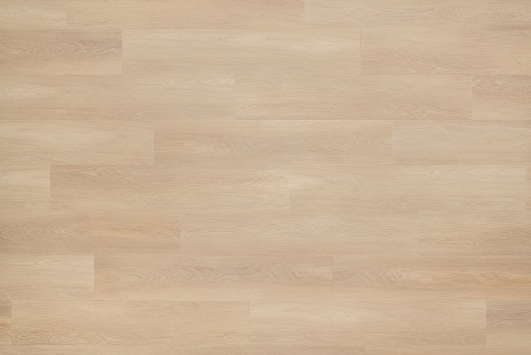 Floer Natuur Noordwijk Natuur - Dryback Plak PVC