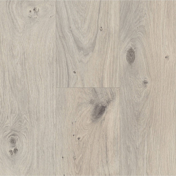 PARADOR Basic 400 4V Eiken Natuur Grijs - Laminaat