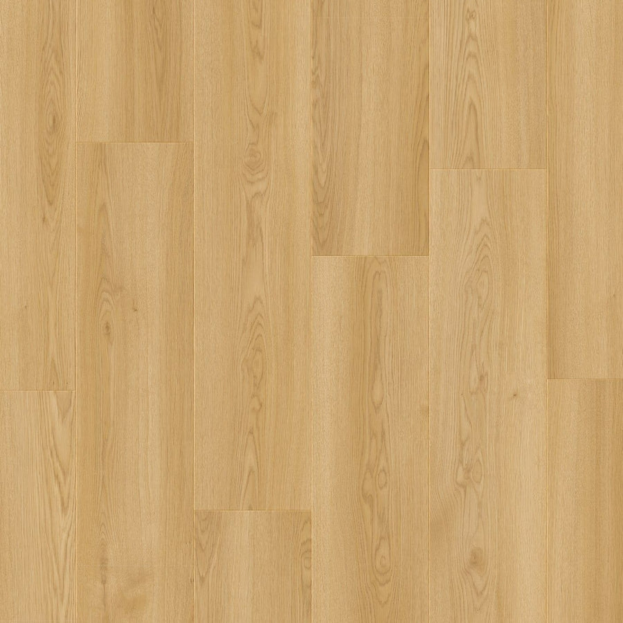 Moduleo - LayRed - Dingle Oak 13850 - Click PVC