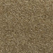 OTIUM Functioneel schoonloopmat op maat beige