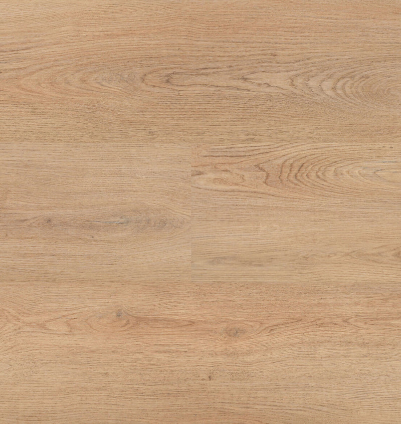 Staal van Hebeta Chablis XL Plank 55859 - Rigid Klik PVC