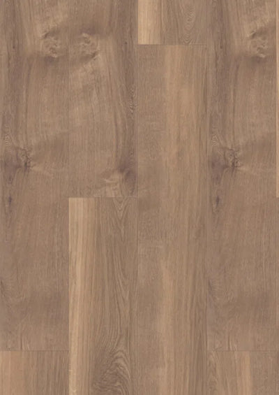 mFLOR 41815 Broad Leaf Warm Sycamore | Dryback Plak PVC