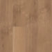 mFLOR 41822 Broad Leaf Pure Sycamore | Dryback Plak PVC