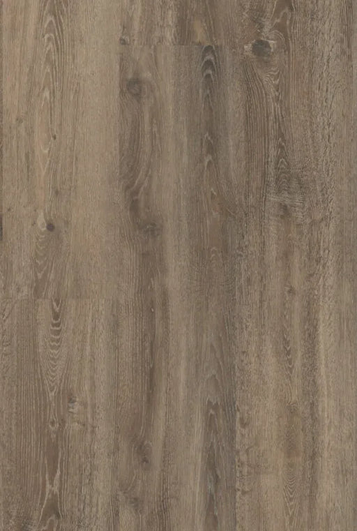 mFLOR 56317 Authentic Oak XL Lombardia | Dryback Plak PVC