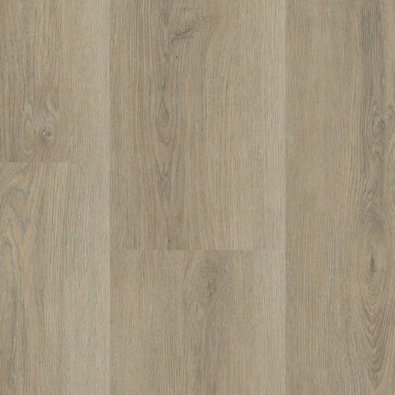 Staal van Montinique Charente XL Plank 5445 - Dryback Plak PVC