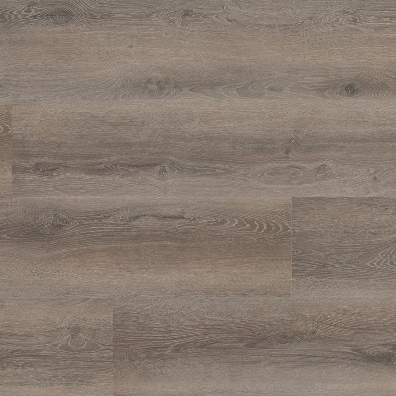 Staal van Montinique Progress XL Plank 54818 - Dryback Plak PVC