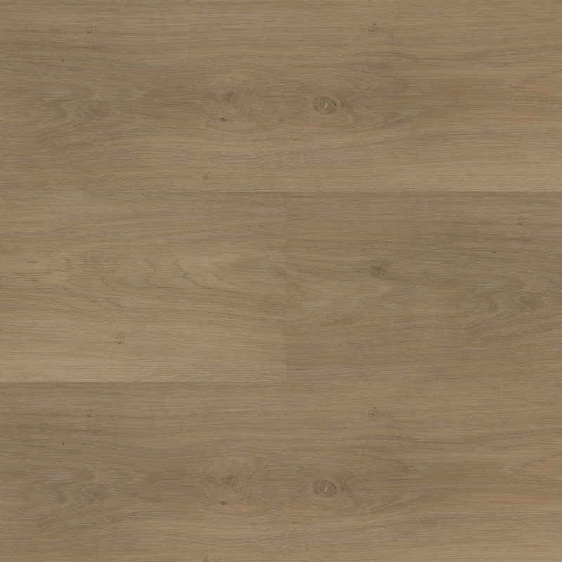 Staal van Montinique Chapelle XL Plank 54841 - Dryback Plak PVC