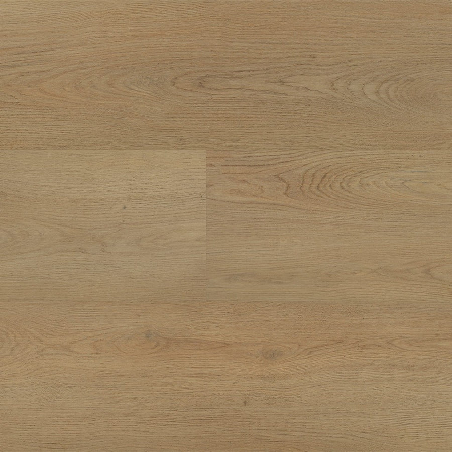 Montinique Chablis XL Plank 54854 - Dryback Plak PVC