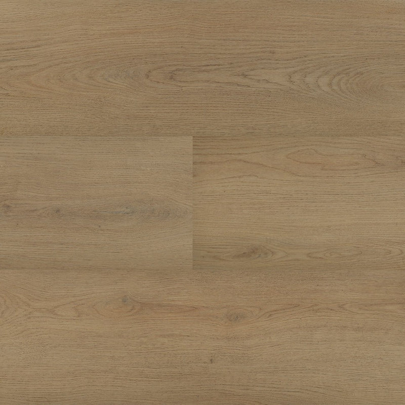 Staal van Montinique Chablis XL Plank 54856 - Dryback Plak PVC