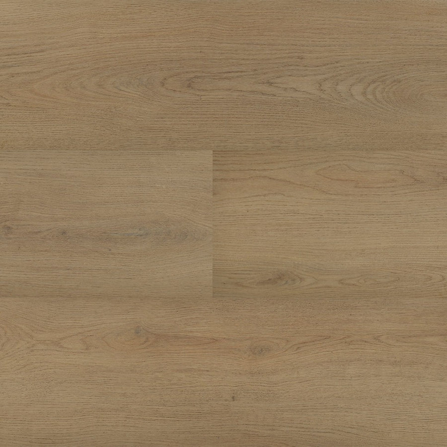 Montinique Chablis XL Plank 54856 - Dryback Plak PVC