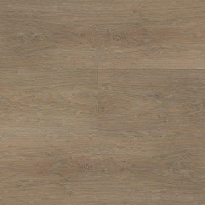 Montinique Chapelle XL Plank 55843 - Rigid Click PVC