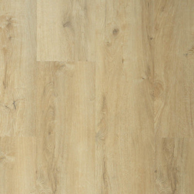 Sense P920 | Lijm PVC Dryback
