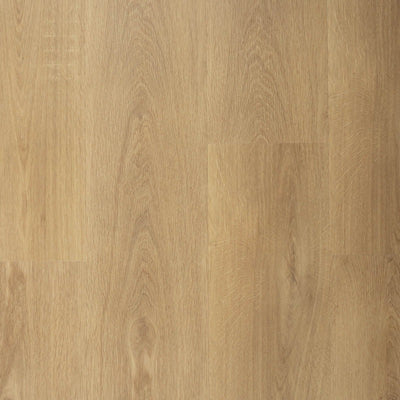 Sense P955 | Lijm PVC Dryback