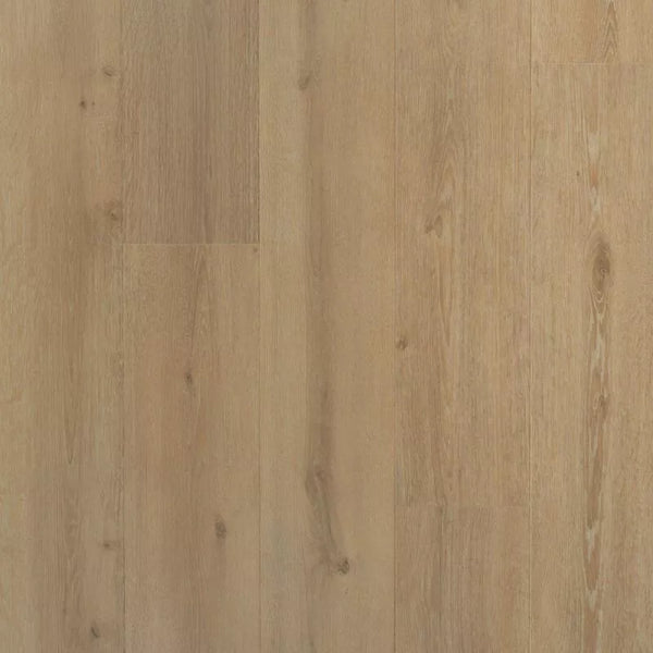 Solide plank Laurier | Douwes Dekker | Pressed bevel 4V-Groef