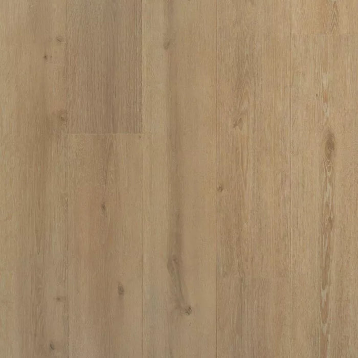 Solide plank Laurier | Douwes Dekker | Pressed bevel 4V-Groef